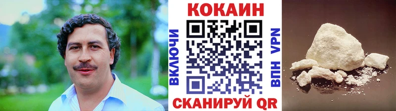 Купить закладки  Салехард  Cocaine Fish Scale 