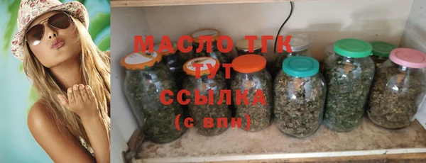 тгк Инсар