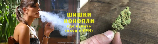 тгк Инсар