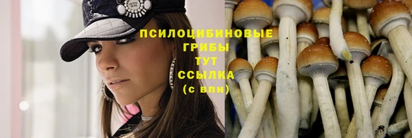 ECSTASY Зерноград