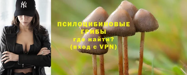 винт Зеленокумск