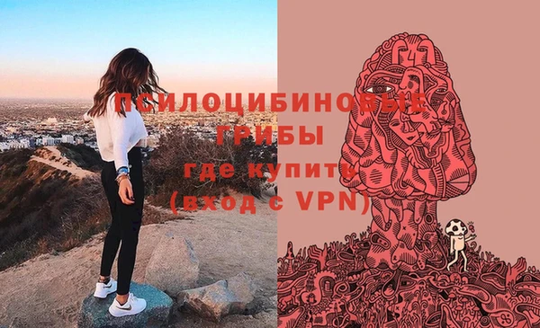 тгк Инсар