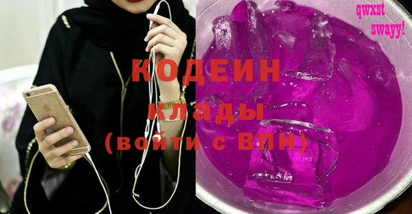 тгк Инсар