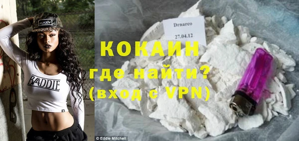 тгк Инсар