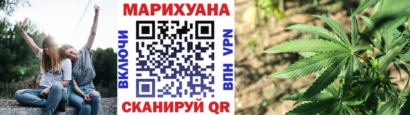 Каннабис сатива Салехард